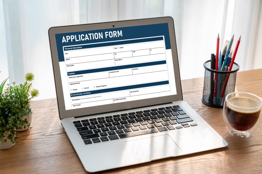 Government Grant Application Form